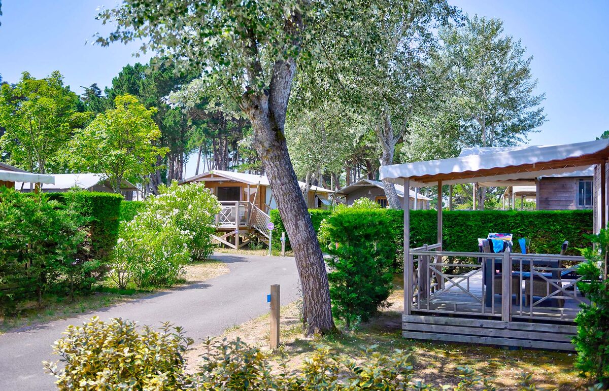 Camping Le Bois D Amour Succombez Au Charme Du Morbihan camping-le-bois-d-amour-succombez-au-charme-du-morbihan